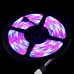 3528 RGB LED Waterproof Strip - 5 meter